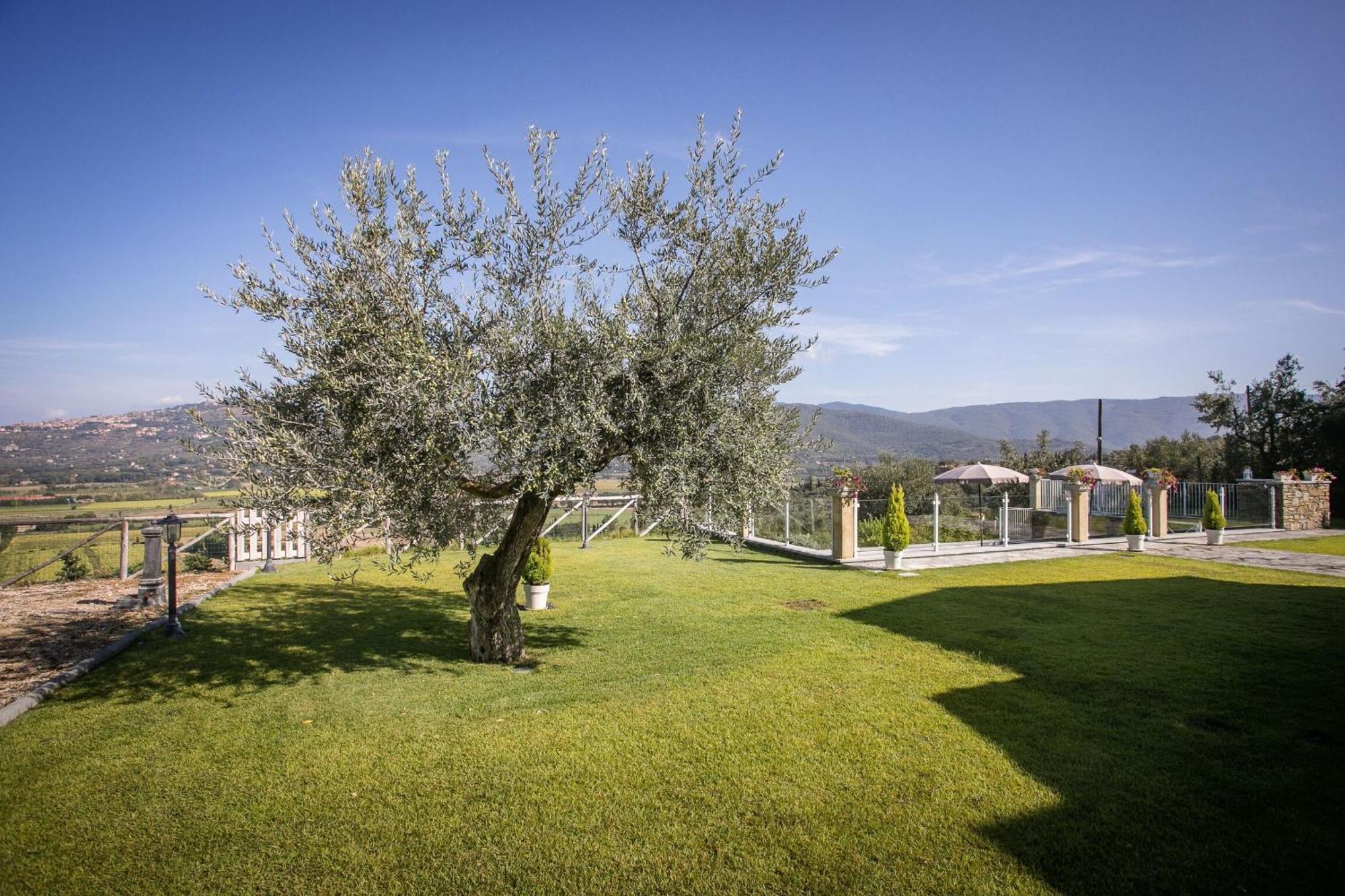 Villa Chiara Cortona Exteriér fotografie